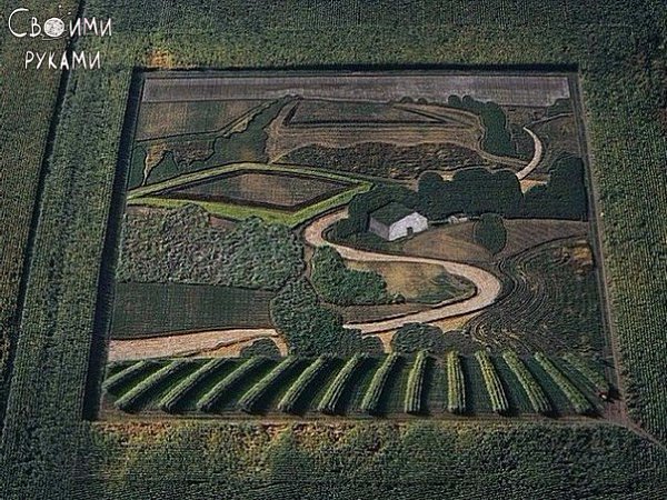 Картина от художника Стэна Херда. В качестве холста он использует поля, а кистью служит трактор.
