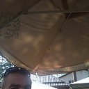 ���� ������, ������, 46 ��� - ��������� 19 ������� 2016 � ������ ���� ����������
