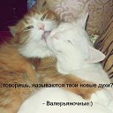  (  ),  , 54  -  23  2016    