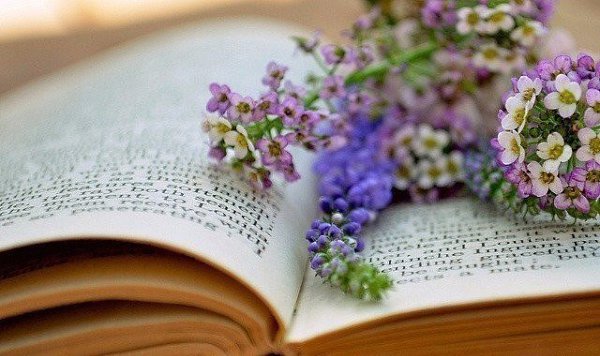 Не засоряйте свою память обидами, а то там может просто не остаться места для прекрасных мгновений.