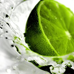 ������, ������, 42 ����