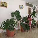 ���� Ana, ����������� - ��������� 4 ���� 2016 � ������ ������ � ������� (����)�