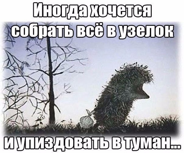  - 4  2016  13:50