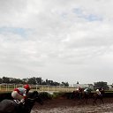 ���� �����, ���������, 77 ��� - ��������� 14 ������ 2016 � ������ ������� - �� - ����