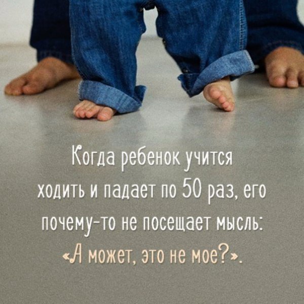 BEST | , ,  - 2  2016  13:28