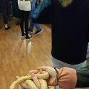 ���� ������, ������, 51 ��� - ��������� 25 ������ 2016 � ������ �����������-11�