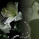 ���� )ζø√ ����, �������������, 101 ��� - ��������� 9 ���� 2016