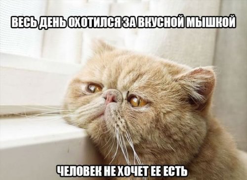   - 25  2016  08:41