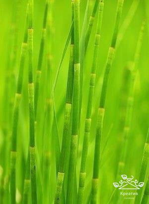 , ,  - 3  2016  16:57