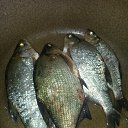 ���� ������, �����-��������� - ��������� 30 ���� 2016 � ������ ���� ����������