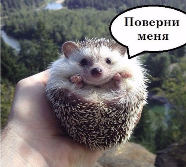    - 2