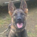 ���� �������, ��������, 53 ���� - ��������� 7 �������� 2016