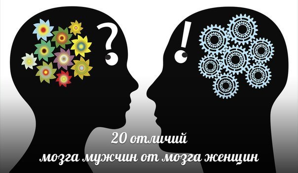 20      .1.  ,     10%  . ...