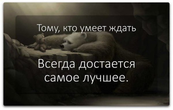 .Life.Is.Life. - 23  2016  19:25