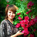 ���� �, �����, 37 ��� - ��������� 16 ������� 2016 � ������ ���� ����������