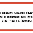  , -, 63  -  10  2016    