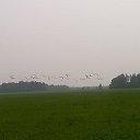 ���� ������, ������, 65 ��� - ��������� 15 ������� 2016 � ������ ���� ����������