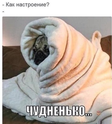 ***Victoria Viktorovna*** - 12  2016  13:31