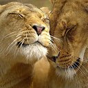 ���� �����, ������, 64 ���� - ��������� 24 ������� 2016 � ������ �������� �����