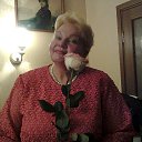 ���� ���������, ������ - ��������� 25 ����� 2016