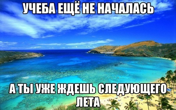 ☆   ☆ - 24  2016  13:07