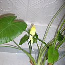 ���� ��������, ����������, 69 ��� - ��������� 23 ������ 2016 � ������ ������ ��������