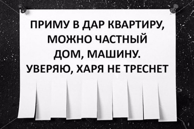   ,   .© - 24  2016  13:11
