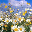 ���� ����, ������ - ��������� 30 ����� 2016 � ������ ������ ��������