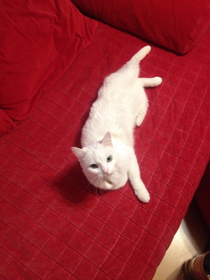 #�������_�����.������� ������������ ����� � ������ �������� �����, ������� ��������� ���� ���������. ... - 6