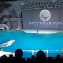 ���� ����, ������, 56 ��� - ��������� 20 ������� 2016 � ������ �����