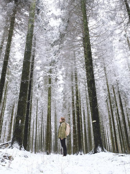 ������������ ���� ������ � ���� �� ����� ����������� ���� ��������. �� ��� ���������� ��������� ... - 5