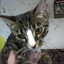 ���� ������, �����������, 56 ��� - ��������� 28 ��� 2016