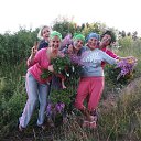 ���� ��������, ����������, 64 ���� - ��������� 12 ���� 2016 � ������ ������ ���� 2016�