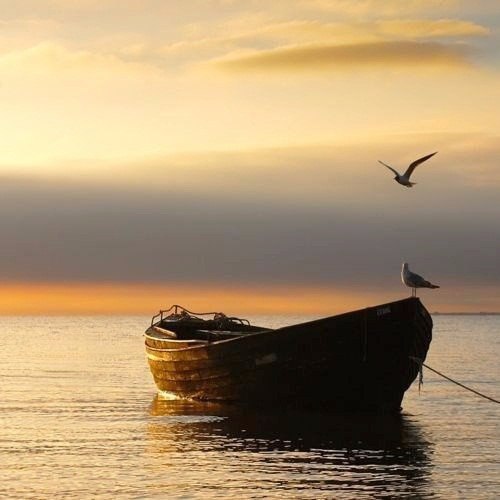 Лето – это море солнца, света и тепла…Это радости пора…Это солнце в небесах…И яркий блеск в твоих ... - 2