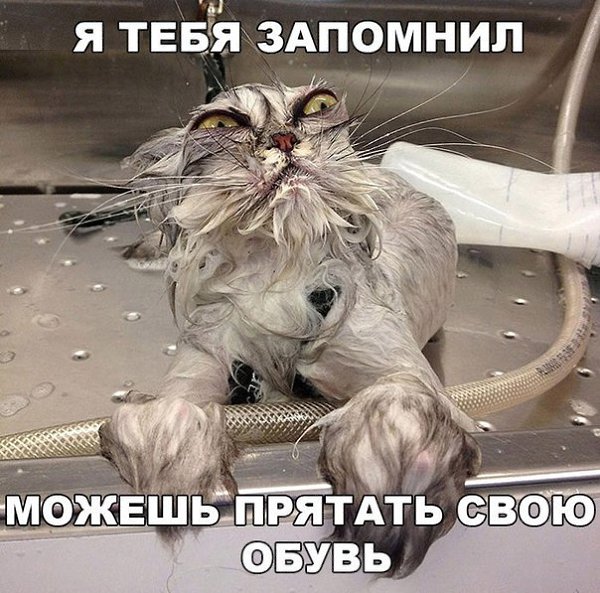   - 17  2016  19:03