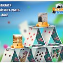 ���� ������, �������, 54 ���� - ��������� 25 ����� 2016 � ������ �������� �������-�������