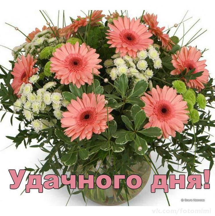 ...[a]_voe_so Le... - 6  2016  12:35