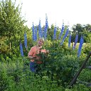 ��� ��������.. �� ������� ���� ����������