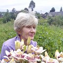 ���� ������, ����, 73 ���� - ��������� 8 ���� 2016 � ������ ���� ����������