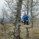 ���� �������, ����������, 50 ��� - ��������� 13 ��� 2016 � ������ ������������� ������ 13.05.2016�