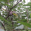 ���� Igor, �����-���������, 59 ��� - ��������� 7 ������� 2016 � ������ ���� ����������