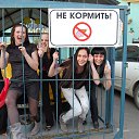 ���� ��������, ����������, 69 ��� - ��������� 24 ������ 2016 � ������ ������ ��������