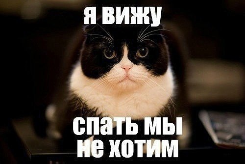 ***Victoria Viktorovna*** - 19  2016  21:47