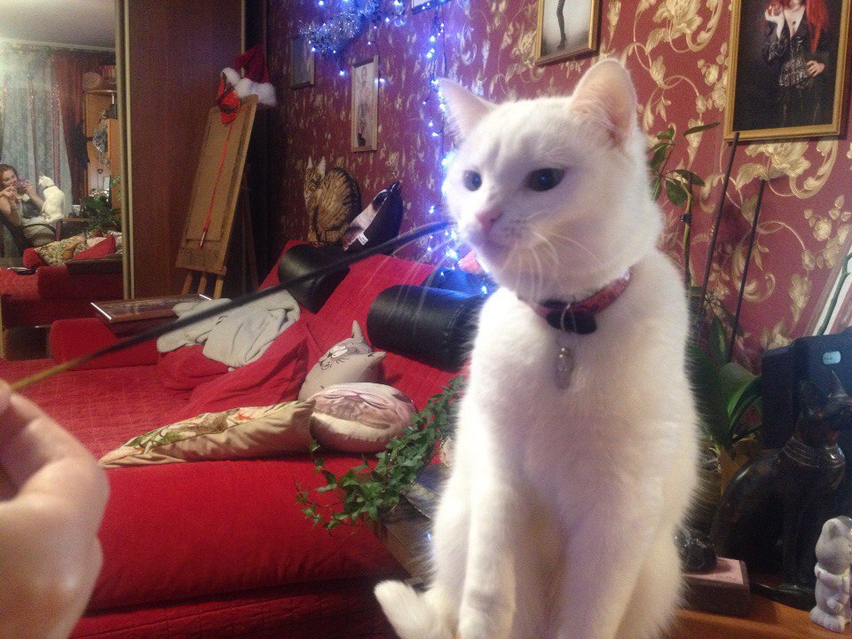 #�������_�����.������� ������������ ����� � ������ �������� �����, ������� ��������� ���� ���������. ... - 4