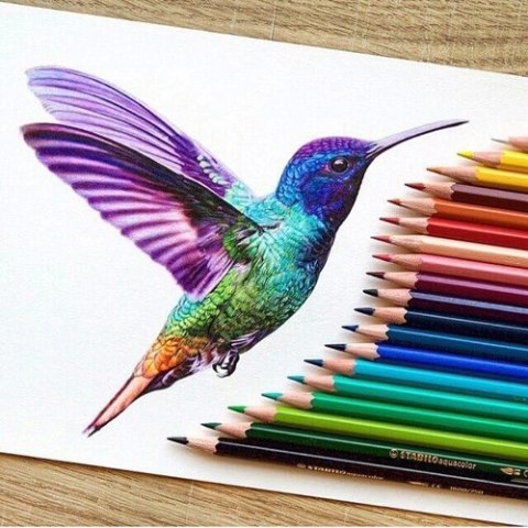 Art & Fun - 1  2016  10:34