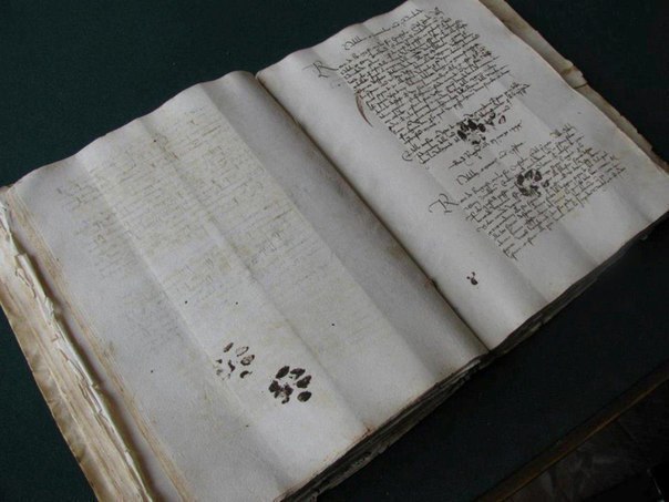     ,   1445 .