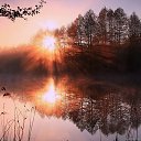 ���� ����/������, ������ �����, 72 ���� - ��������� 11 ����� 2016 � ������ ���� ����������