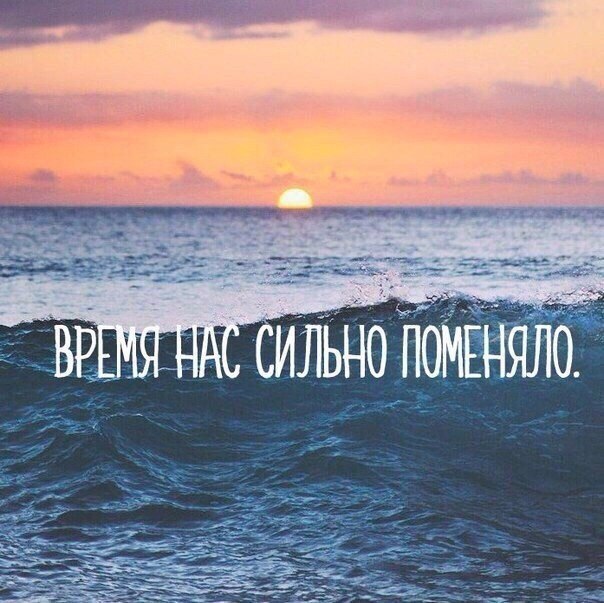  | ,  - 31  2016  19:55