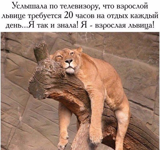 Wow - 30  2016  16:15