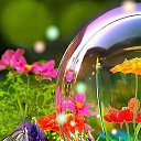 ���� ��������� ���������, ��������� - ��������� 16 ����� 2016 � ������ ���� ����������